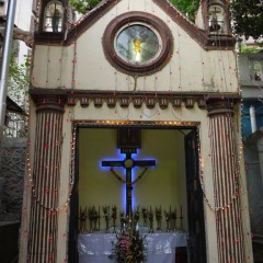 Matharpacady Holy Cross Novena – 29th April 2021 – Day 8